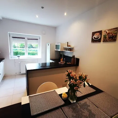 Cozy Place, Best Location, Wifi, Free Parking, Netflix... Daire Ljubljana